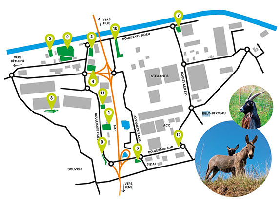 Plan eco paturage
